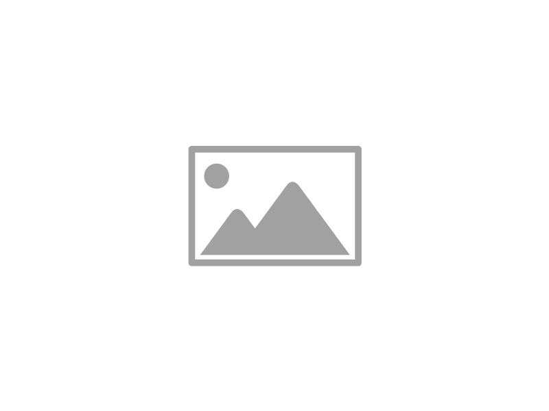 Activismo